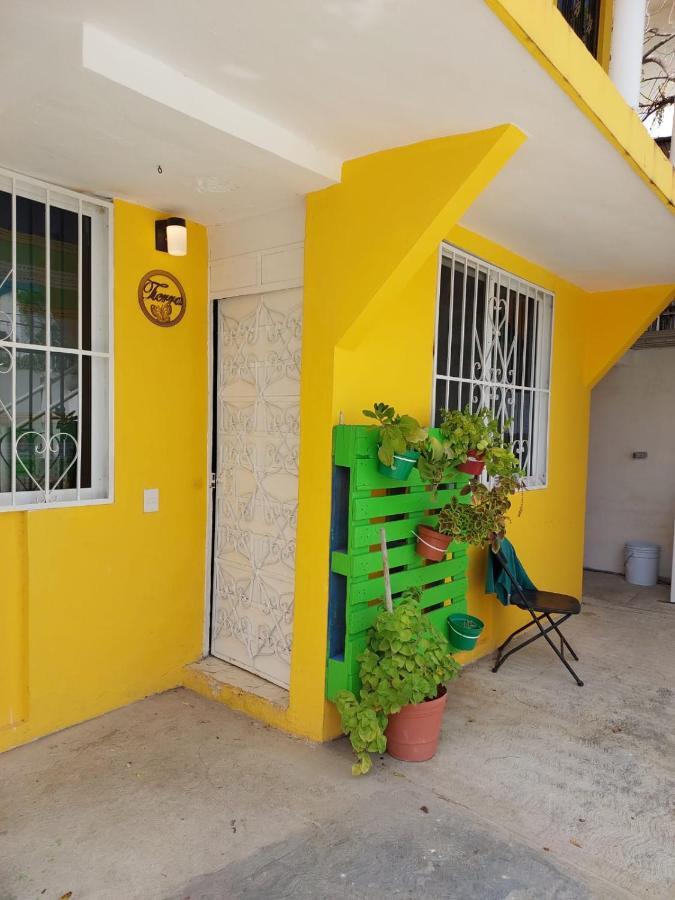 Casa Los Cuatro Elementos Tierra 坎昆 外观 照片